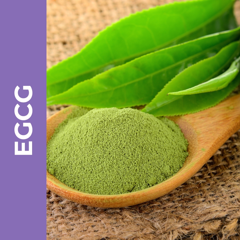 EGCG