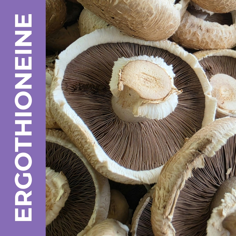 Ergothioneine