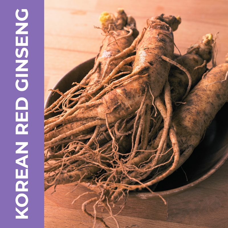 Korean Red Ginseng