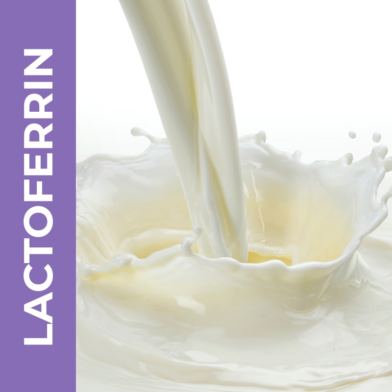 Lactoferrin