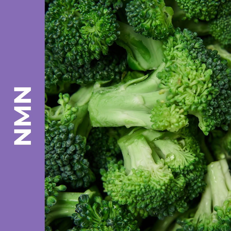 NMN &ndash; Nicotinamide Mononucleotide