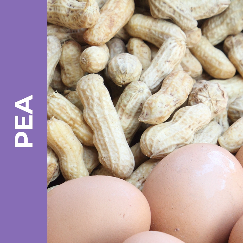 PEA &ndash; Palmitoylethanolamide
