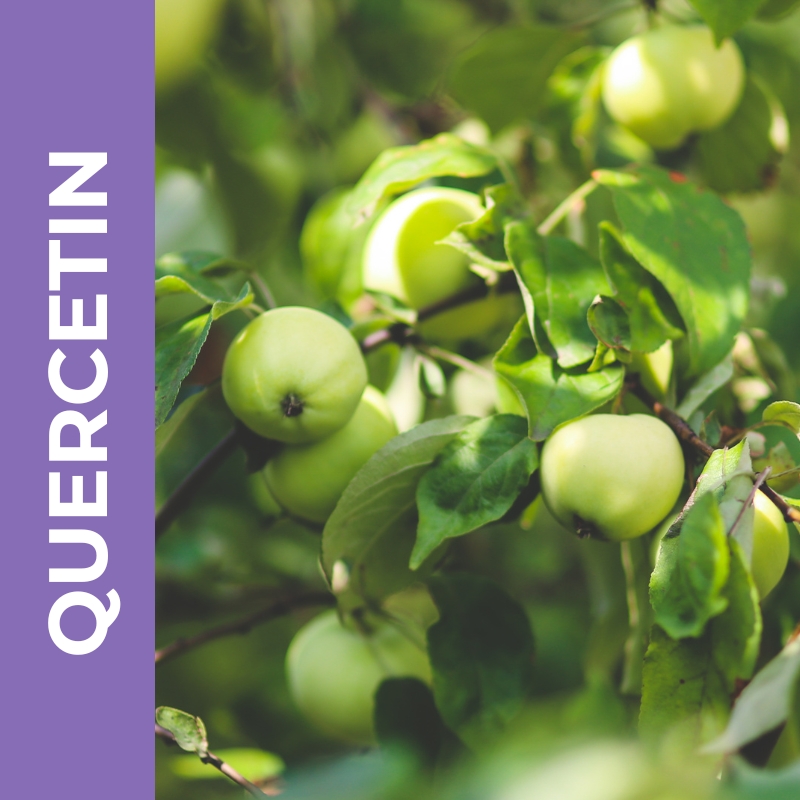 Quercetin