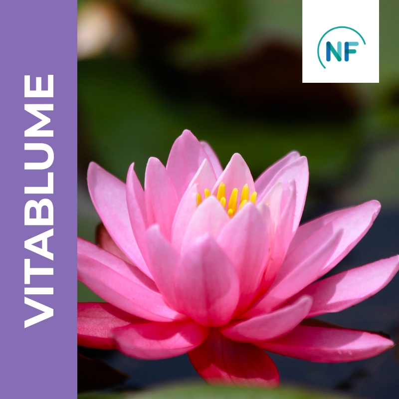 Vitablume